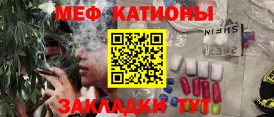 индика Гусев