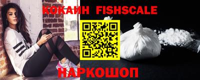 индика Гусев