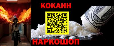 индика Гусев