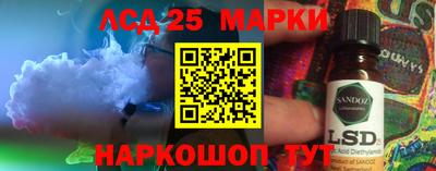 индика Гусев