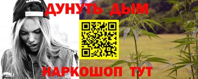 индика Гусев