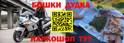 индика Гусев