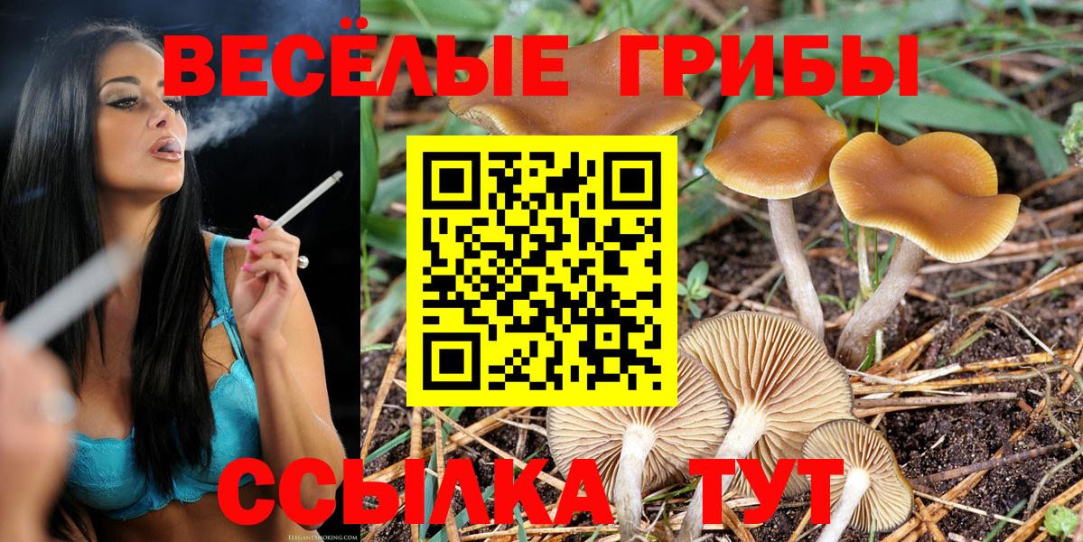Псилоцибиновые грибы Cubensis  Вход с VPN  Назарово 